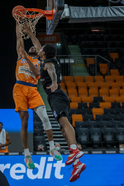 总监贝尔塔 总监贝尔塔